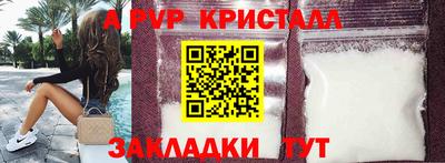 мет Кингисепп