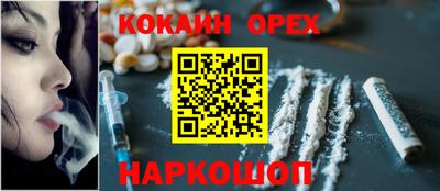мет Кингисепп