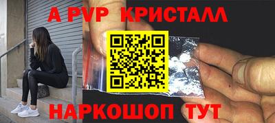 мет Кингисепп