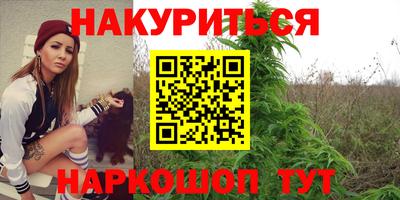 мет Кингисепп