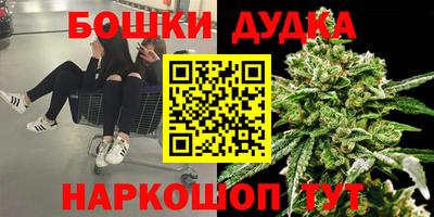 мет Кингисепп