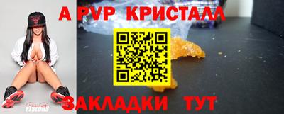 мет Кингисепп
