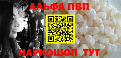 мет Кингисепп