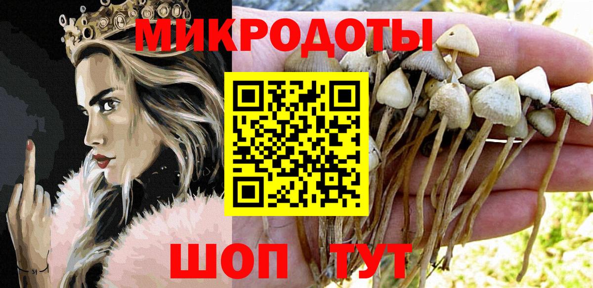 Галлюциногенные грибы прущие грибы Королёв