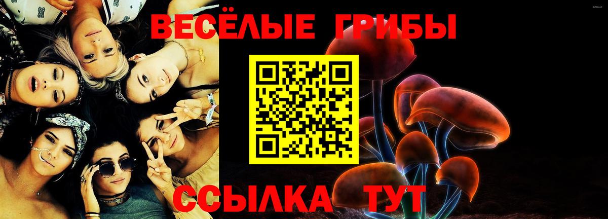 Галлюциногенные грибы Magic Shrooms  Вход с VPN  Королёв 